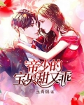 帝少的宝贝甜又乖