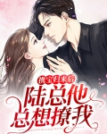 携宝归来后,陆总他总想撩我