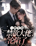 二婚专宠,禁欲大佬沦陷了