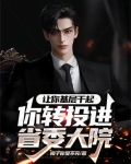 让你基层干起,你转投进省委大院