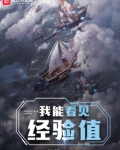 我能看见经验值