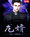龙婿