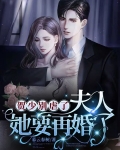 贺少别虐了，夫人她要再婚了