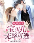 厉爷追妻，宝贝儿无路可逃
