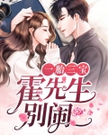 一胎三宝：霍先生别闹