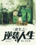 重生之逆袭人生
