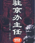 驻京办主任（四）