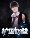 护国奶爸