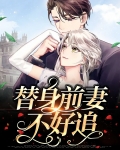 替身前妻不好追