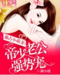 帝少老公强势宠
