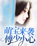 萌宝来袭傅少小心